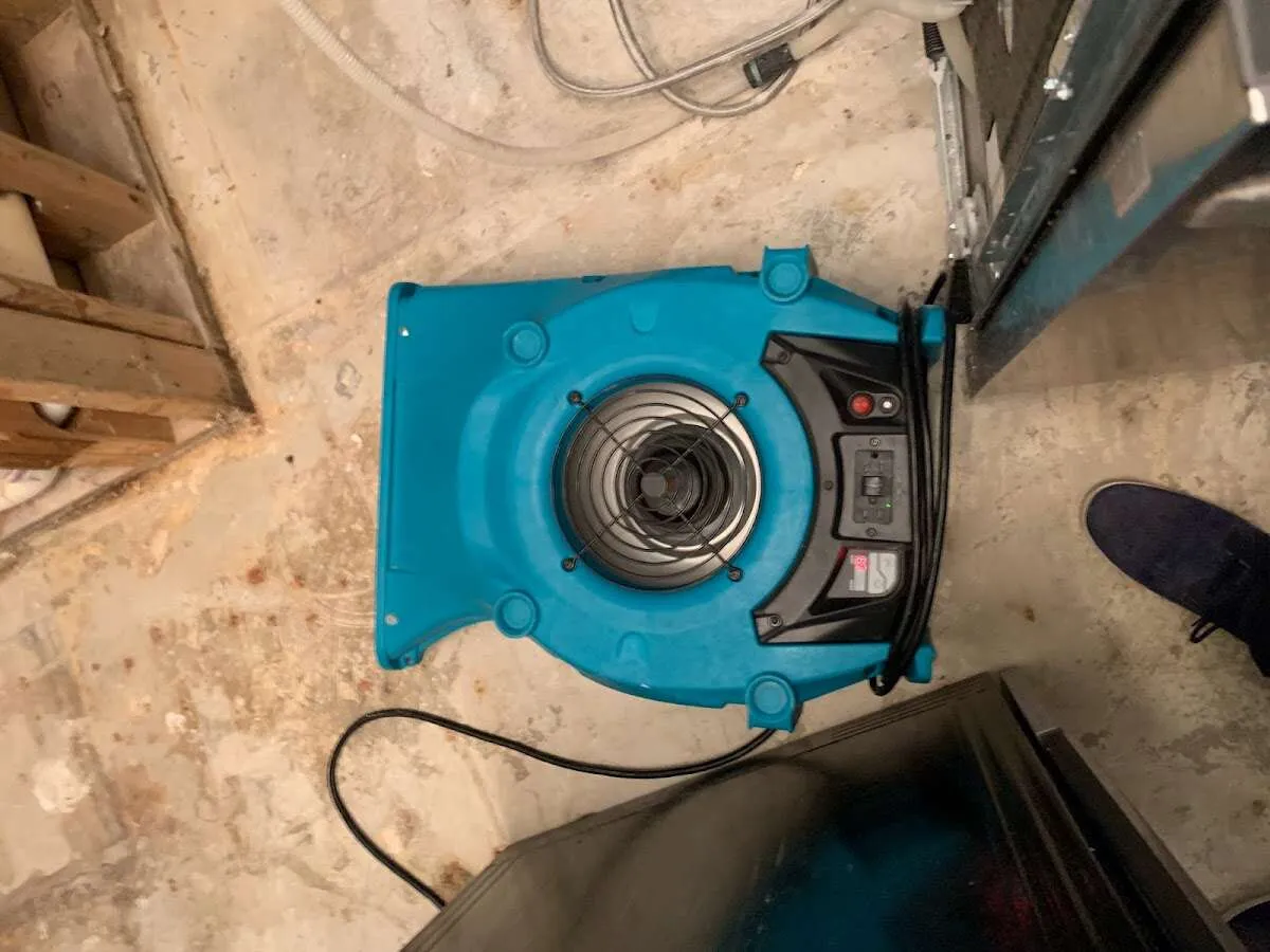 Air mover drying equipment for Mold Remediation & Removal in Seabrook